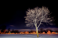 assorded_images-2011_8-01_HDR