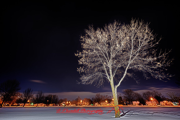 assorded_images-2011_8-01_HDR