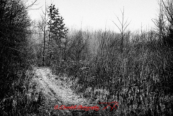 shiawassee_nov-hdr-2010_5-2_HDR-nik