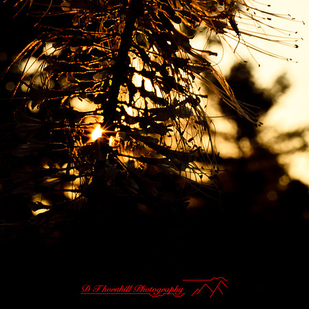 columbus--oh-images-2013-23