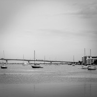 florida-march-2016-089