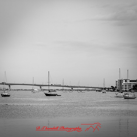 florida-march-2016-089