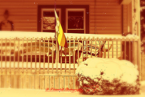 assorted_images-2012-023-nas