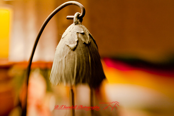 assorted_images-2008_30.jpg