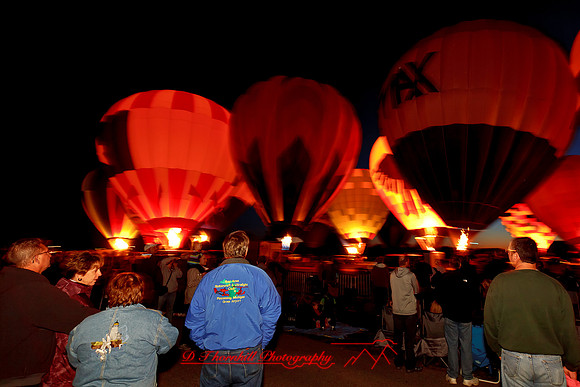 midland-balloon-2011-59