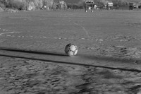 Field Of Dreams