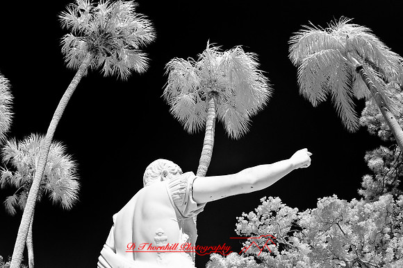florida-2008-images-infrared_36.jpg