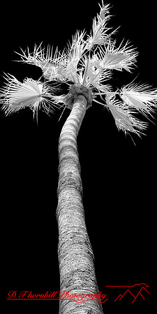FL-March 2018-158_DxO