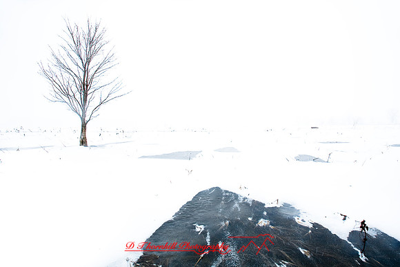 shiawassee-feb-2009_03.jpg