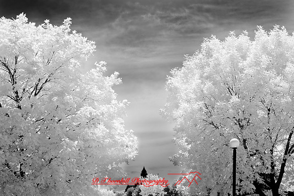 bay_city-infrared-2008_13