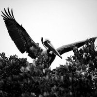 florida-march-2016-019