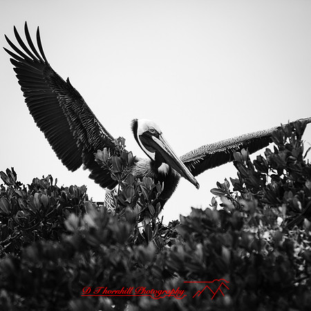 florida-march-2016-019