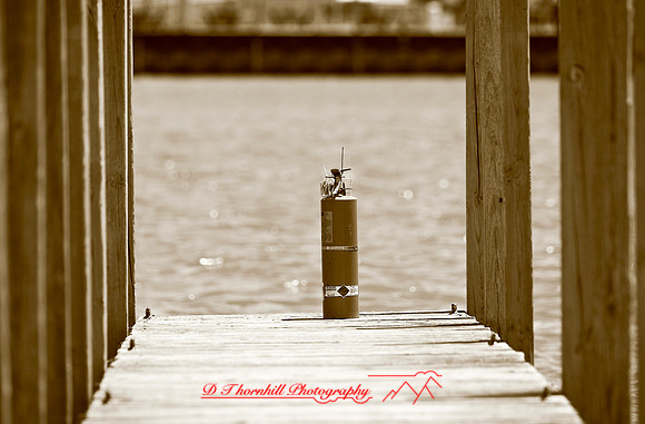 rr_2006_random-024
