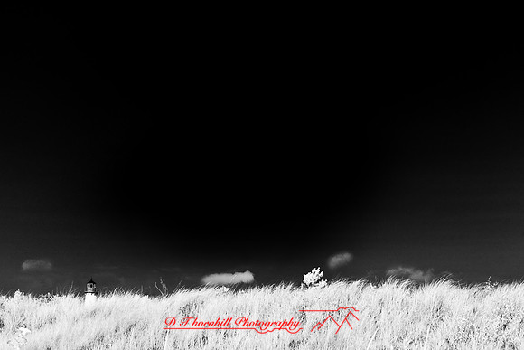 tawas-state-park-infrared-2008_004