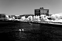 infrared-2009-bay-city_13-nik.jpg