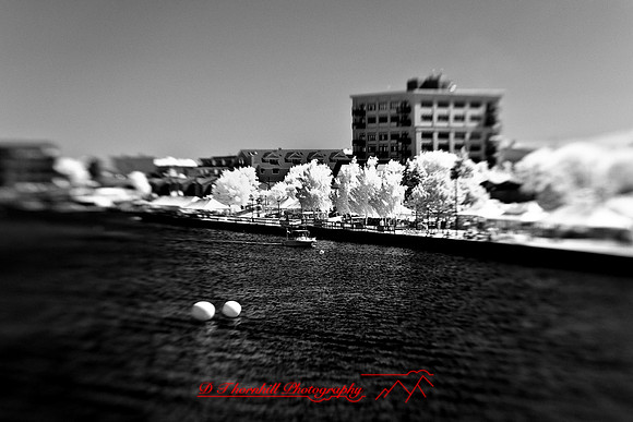 infrared-2009-bay-city_13-nik.jpg