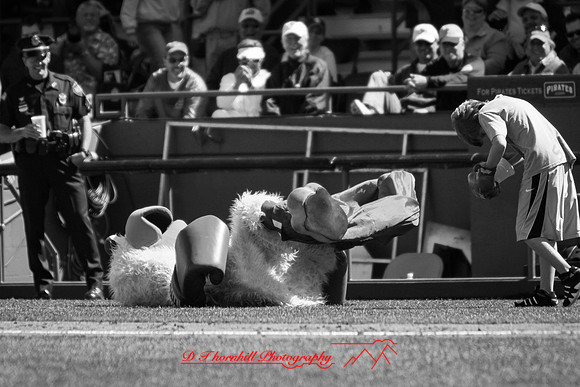 2018-FL-Spring Training 2011-014