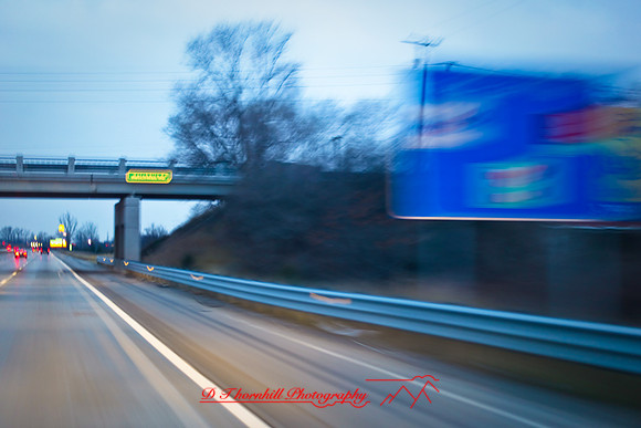 the-drive-2009_18.jpg