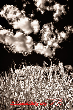 infrared-galesburg_il-2011-40_HDR