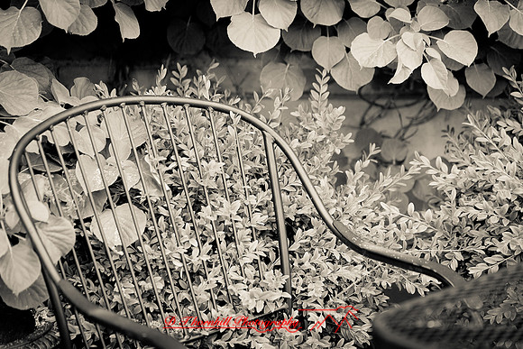 assorted_images-2012-107