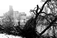 assorted_images-2008_22.jpg