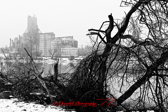 assorted_images-2008_22.jpg