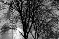 assorted_images-2007_105