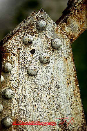 assorted_images-2012-127