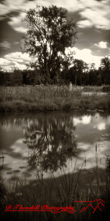 Bay City Stat Park - pinhole - 2022 - 006-nik-ps-ai