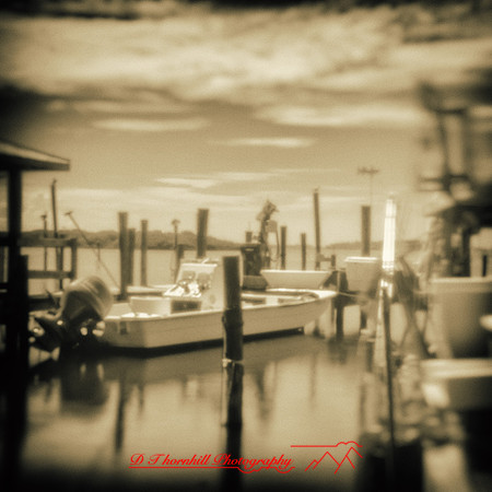 florida - pinhole - 2022 - 001-nik-ps-ai