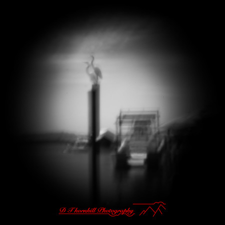 florida - pinhole - 2022 - 002