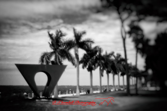 florida - pinhole - 2022 - 008-nik-ps-ai