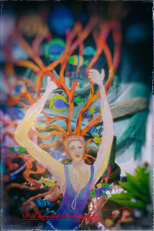 florida - pinhole - 2022 - 016-nik-ps-ai