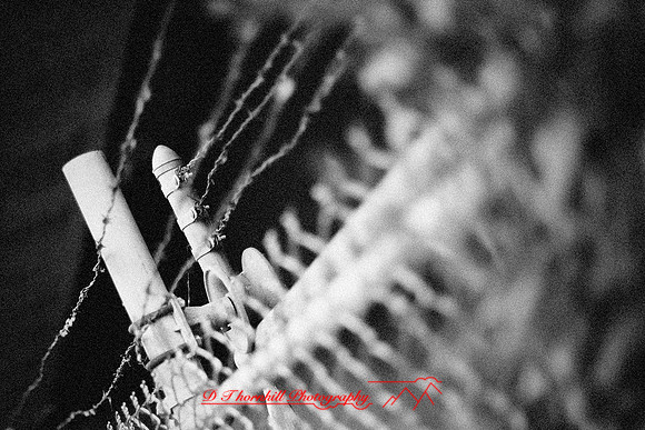 assorted_images-2012-089-nas