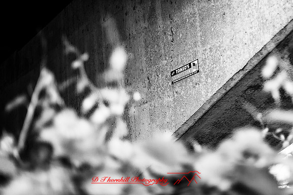 assorted_images-2012-091-nas