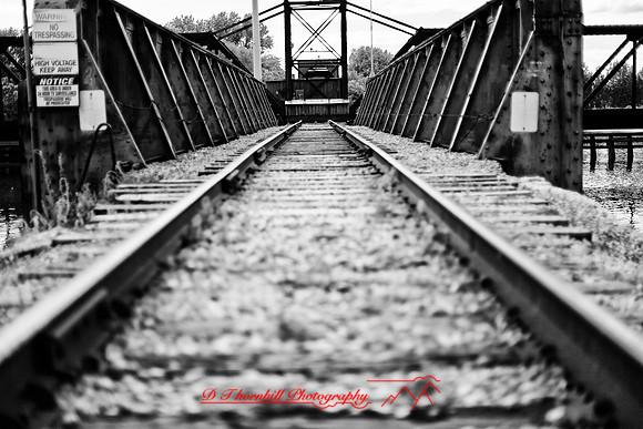 assorted_images-2012-094-nas