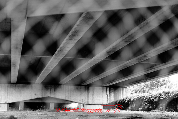 assorted_images-2012-087