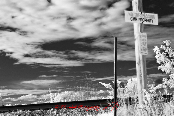 infrared_images-2012-037