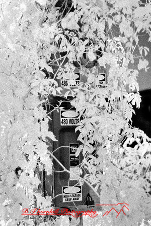 infrared_images-2012-038