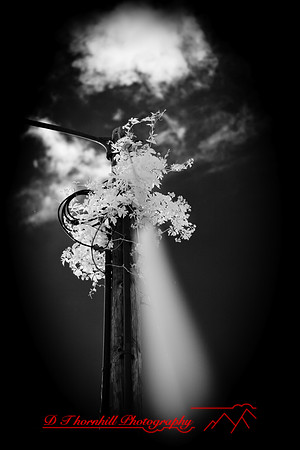 infrared_images-2012-040