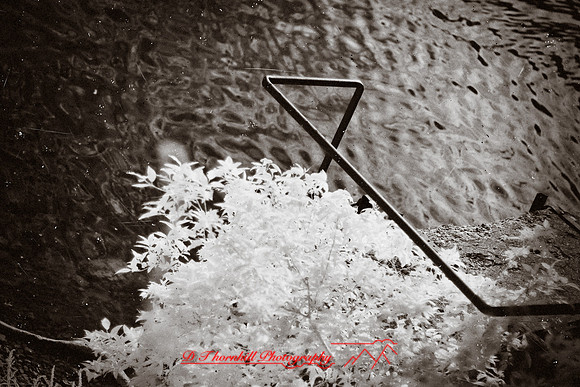 infrared_images-2012-042-nas