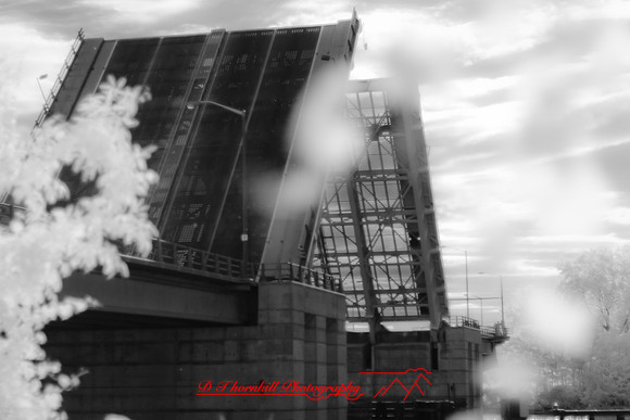 infrared_images-2012-043