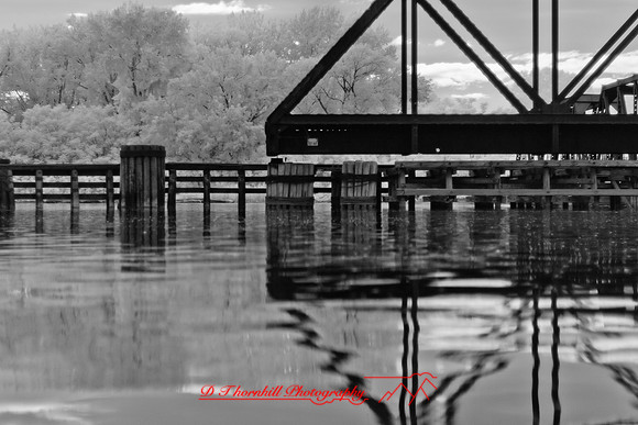 infrared_images-2012-032