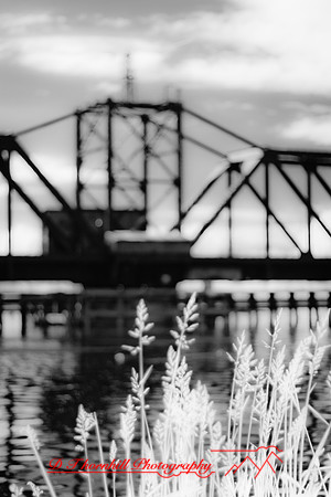 infrared_images-2012-035