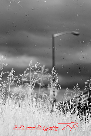 infrared_images-2012-036-nas