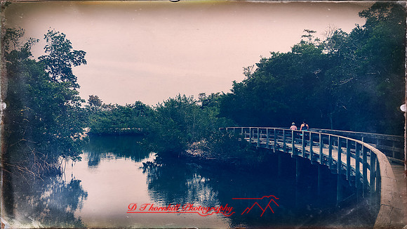 florida-march-2016-iphone-random-036