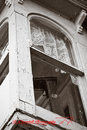 assorted_images-2012-109-nas