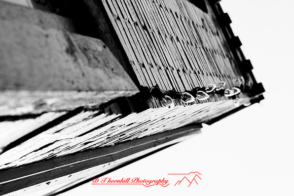 assorted_images-2012-110