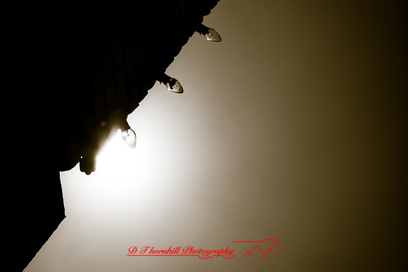 assorted_images-2012-111