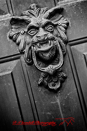 assorted_images-2012-112_HDR